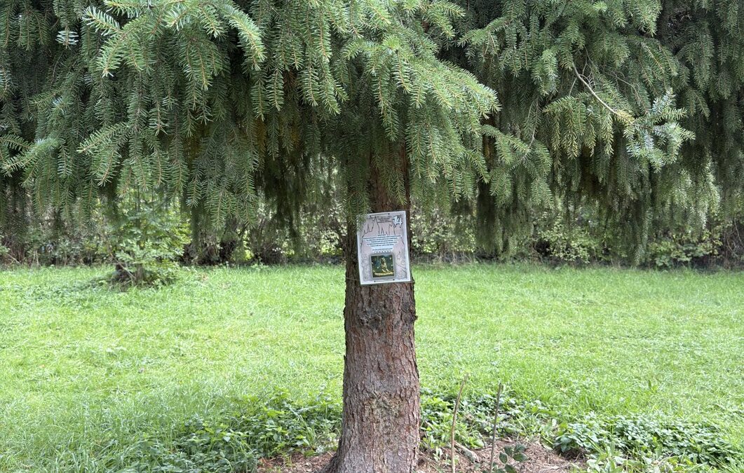 Odměny pro výherce podzimní venkovní hry