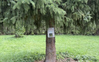 Odměny pro výherce podzimní venkovní hry